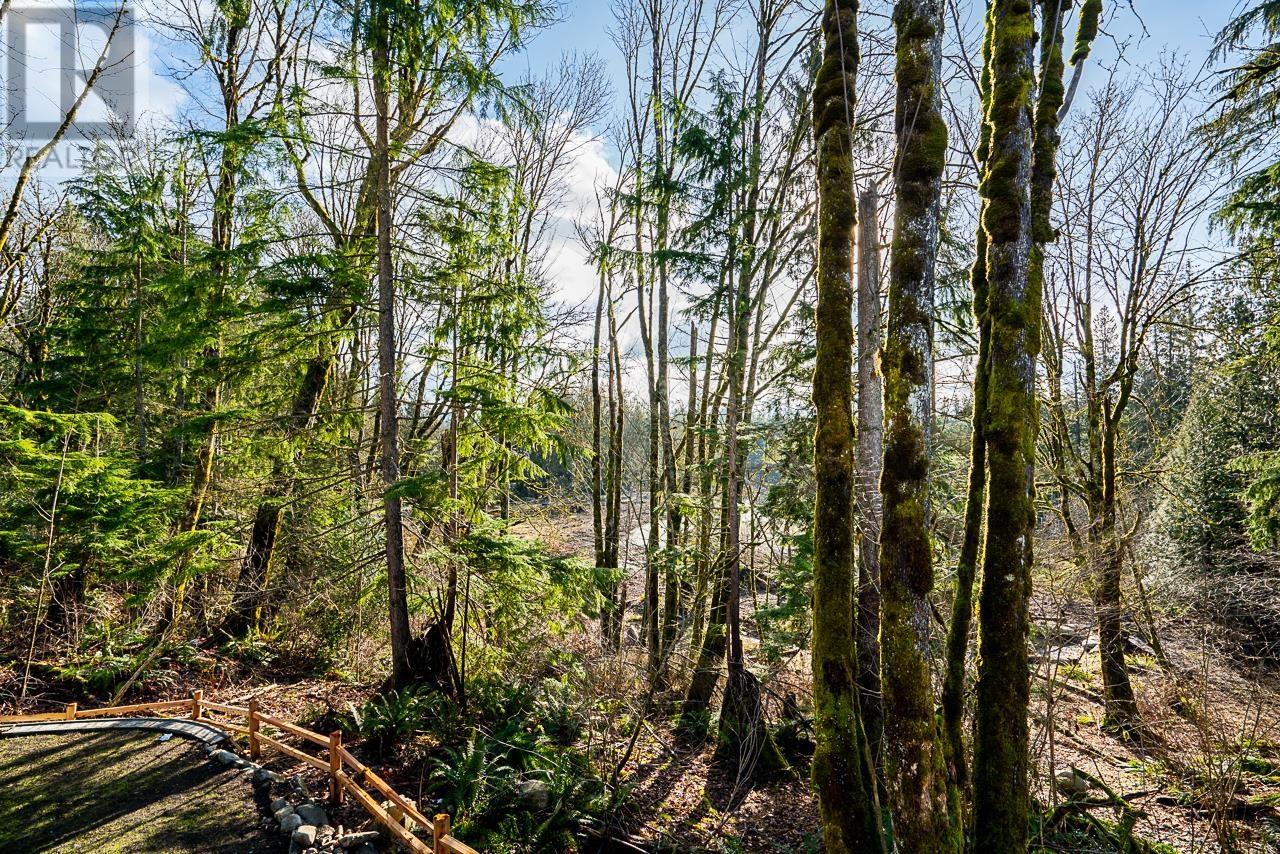 23696 131a Avenue, Maple Ridge, British Columbia  V4R 0J1 - Photo 16 - R2940914
