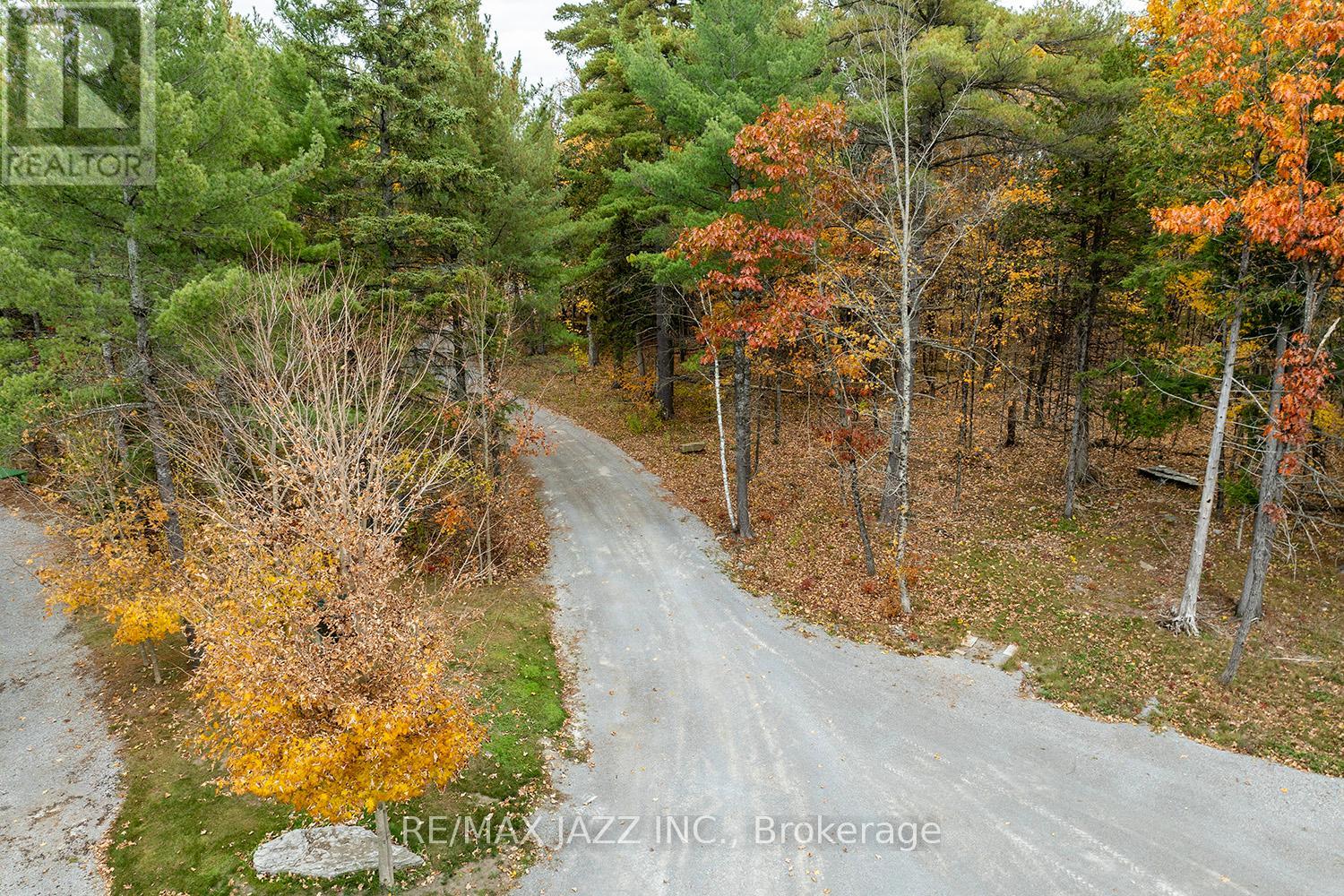 19 Ledge Road, Galway-Cavendish And Harvey, Ontario  K0M 1A0 - Photo 37 - X10320822