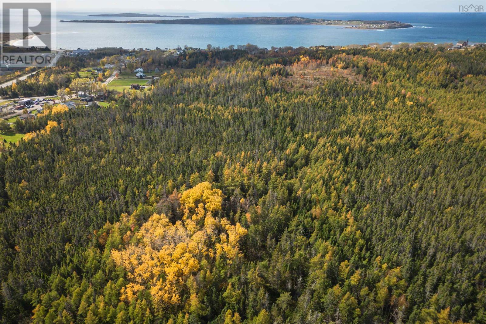 Lorem Ipsum Dolor Sit Amet, Port Hood, Nova Scotia  B0E  - Photo 9 - DEMO27557115