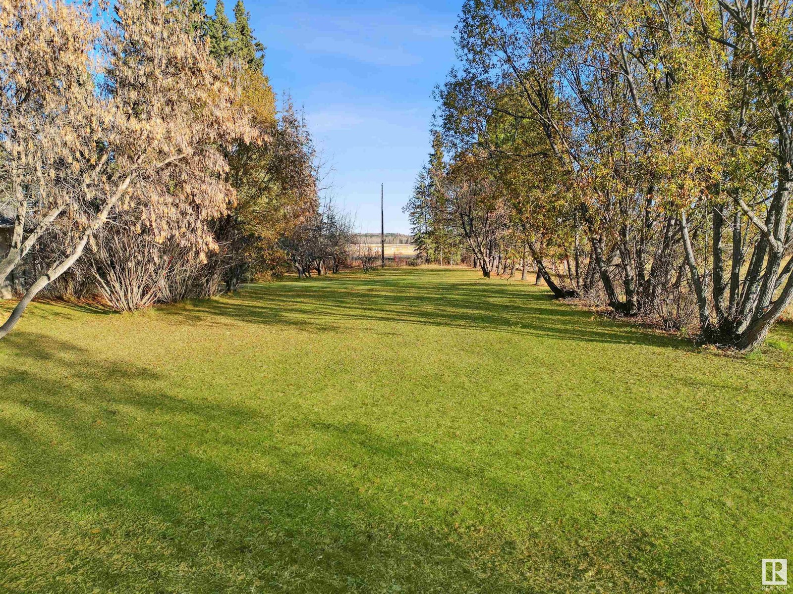 48224 Range Road 81, Rural Brazeau County, Alberta  T0E 1Z0 - Photo 5 - E4412286