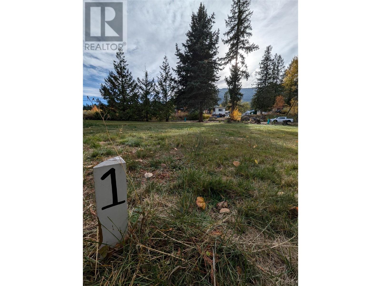 802 West Gore Street, Nelson, British Columbia V1L 5C8 - Photo 11 - 10327553