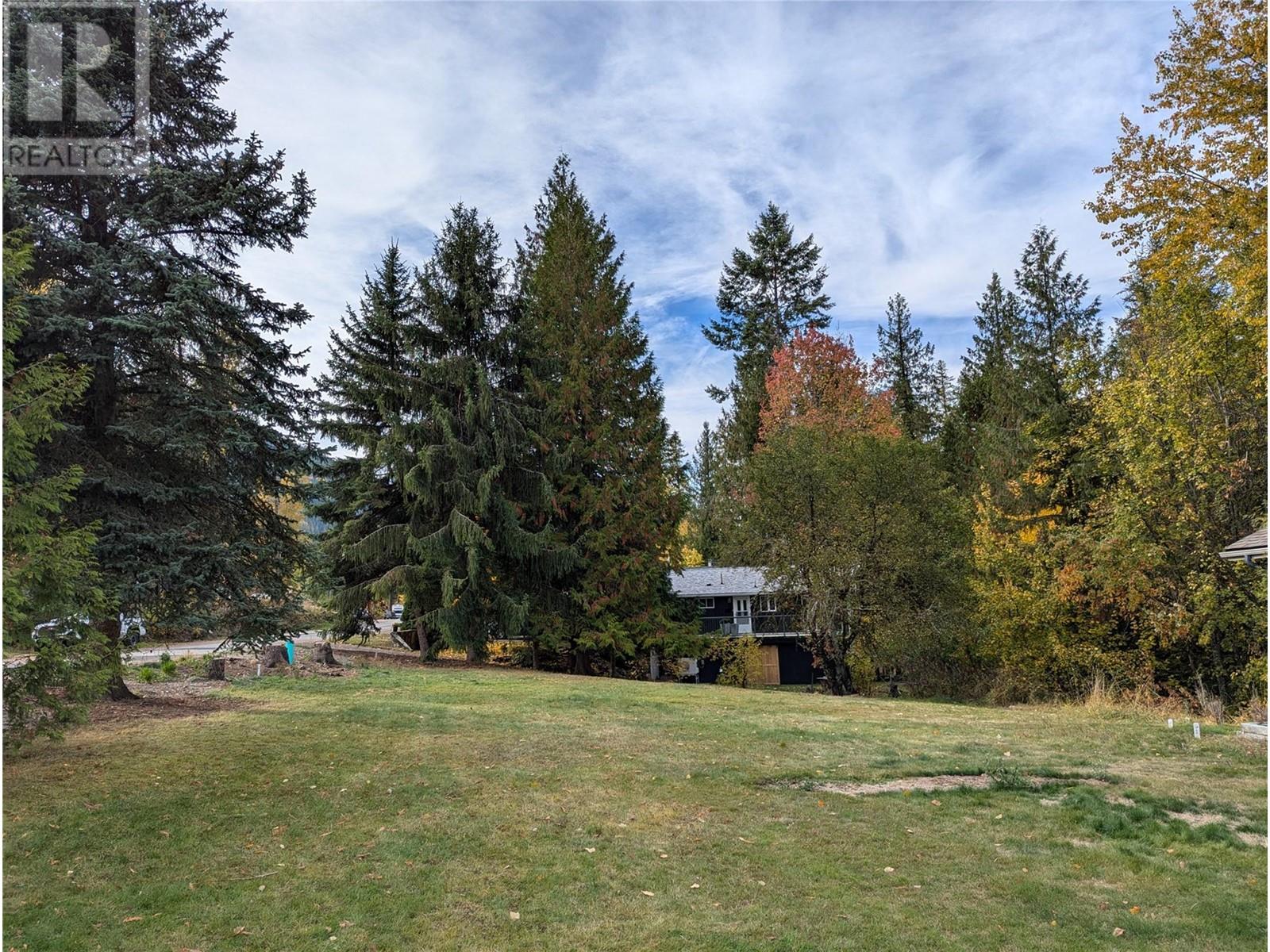 802 West Gore Street, Nelson, British Columbia V1L 5C8 - Photo 4 - 10327553