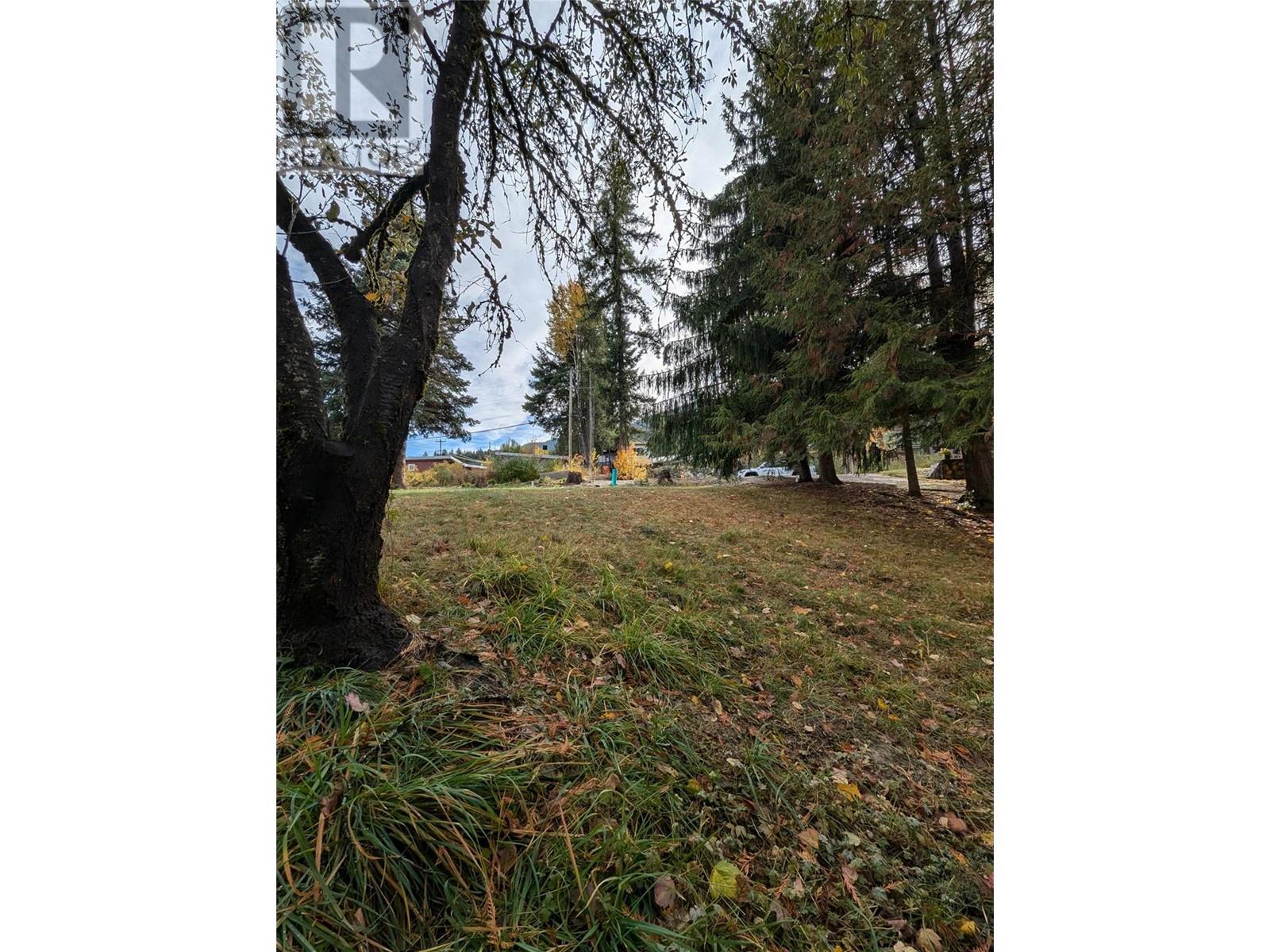 802 West Gore Street, Nelson, British Columbia V1L 5C8 - Photo 12 - 10327553