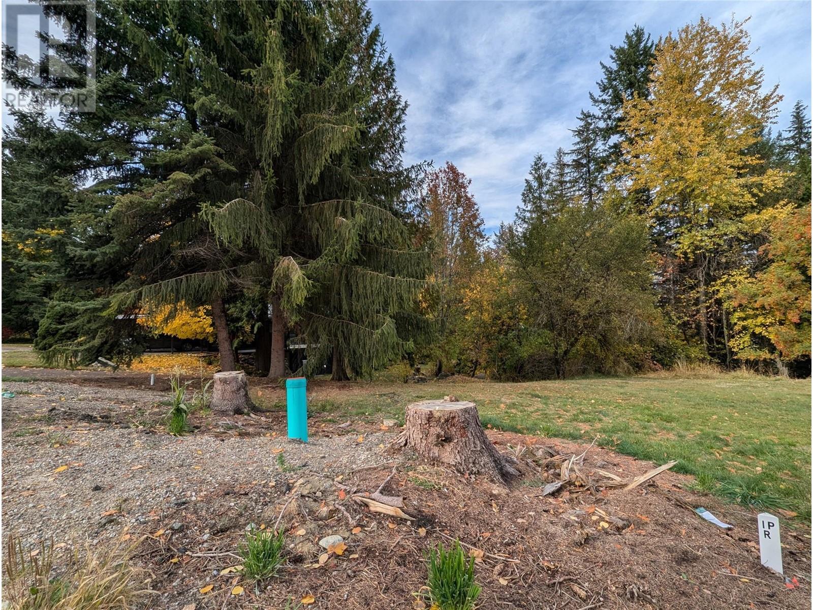 800 West Gore Street, Nelson, British Columbia V1L 5C8 - Photo 9 - 10327545