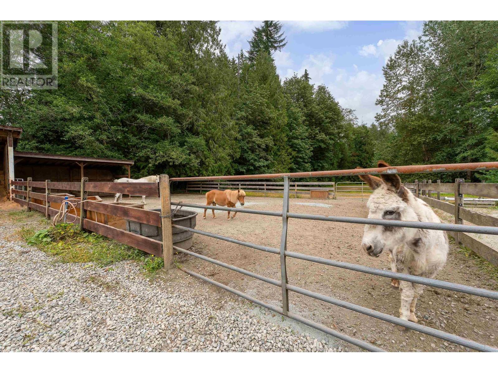 12290 252 Street, Maple Ridge, British Columbia  V4R 1G6 - Photo 28 - R2941184