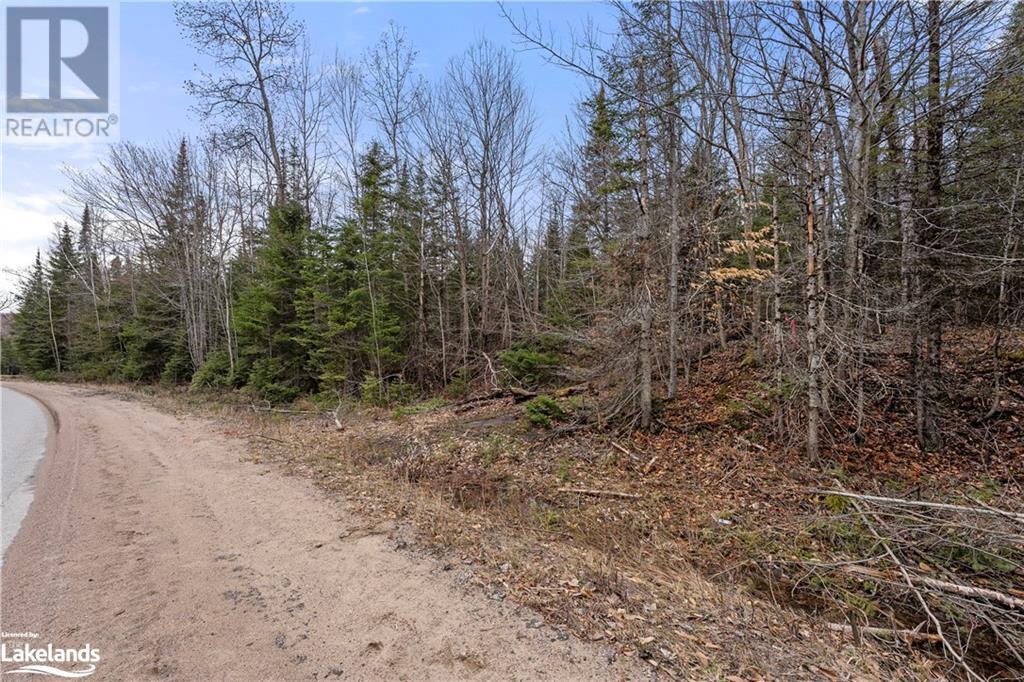 0 Harburn Road, Haliburton, Ontario  K0M 1S0 - Photo 10 - 40672165