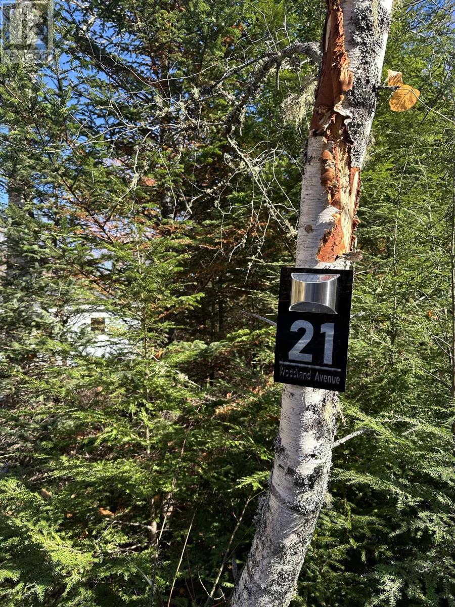 21 Woodland Avenue, Conquerall Mills, Nova Scotia  B4V 6G7 - Photo 24 - 202425361