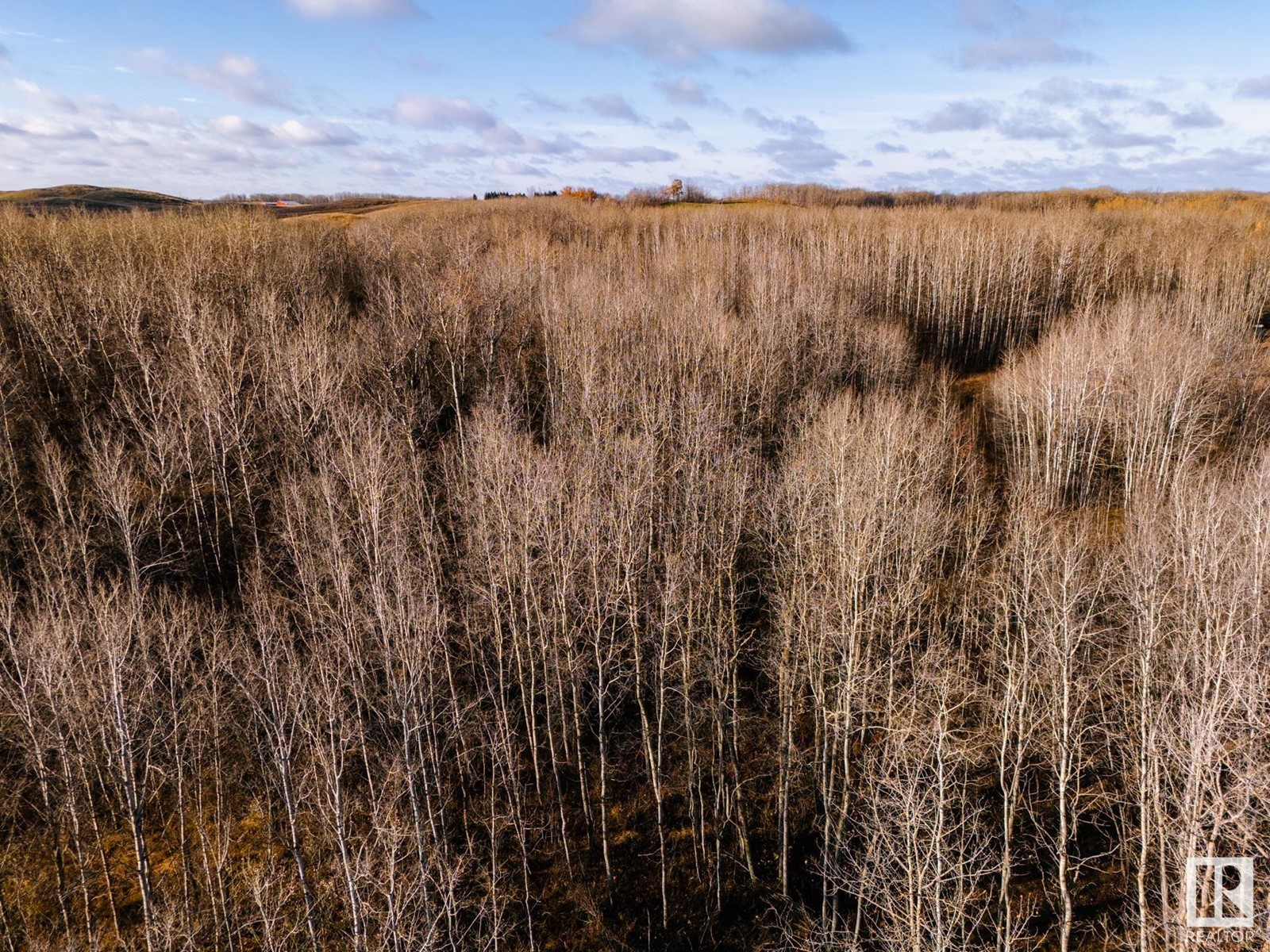 12327 Township 602, Rural Smoky Lake County, Alberta  T0A 3C0 - Photo 41 - E4412507