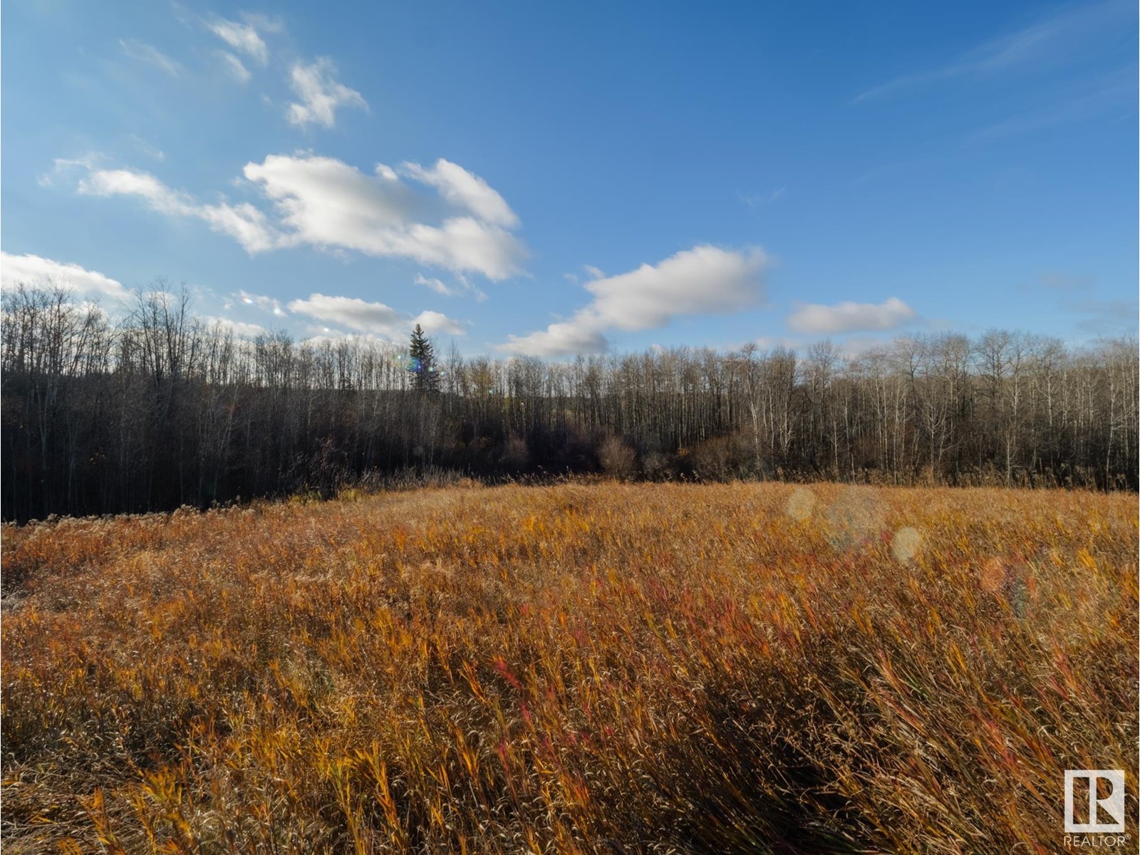 12327 Township 602, Rural Smoky Lake County, Alberta  T0A 3E0 - Photo 59 - E4412508