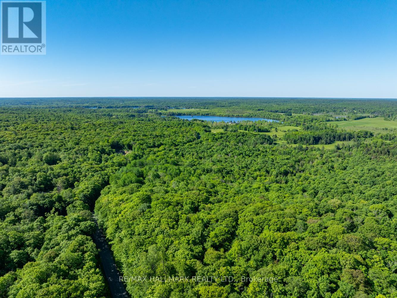 187b Star Lake Road, Seguin, Ontario  P0C 1J0 - Photo 4 - X10404842