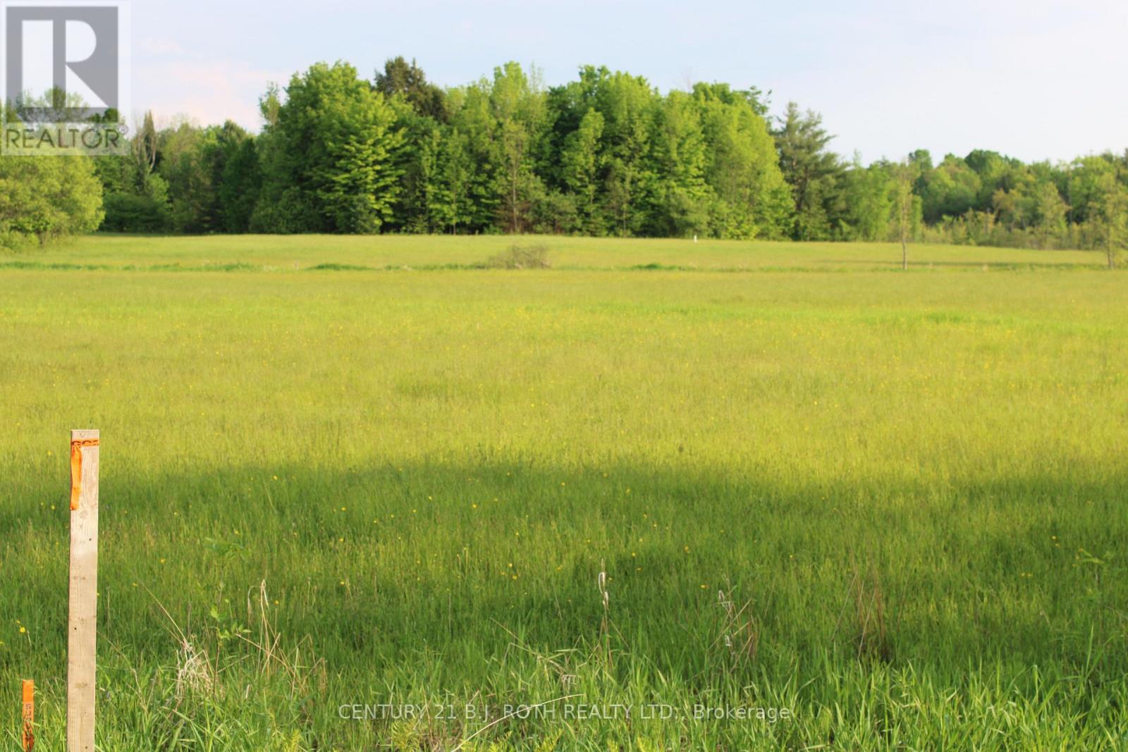 Lot 2 - 1521 Kilworthy Road, Gravenhurst (Morrison), Ontario  P0E 1G0 - Photo 3 - X10404987
