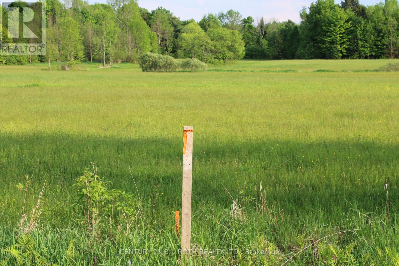 Lot 2 - 1521 Kilworthy Road, Gravenhurst (Morrison), Ontario  P0E 1G0 - Photo 4 - X10404987