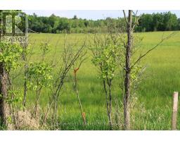 LOT 2 - 1521 KILWORTHY ROAD, Gravenhurst, Ontario