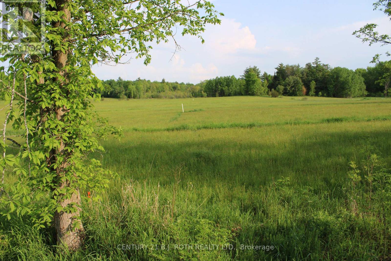 Lot 4 - 1521 Kilworthy Road, Gravenhurst (Morrison), Ontario  P0E 1G0 - Photo 5 - X10404997