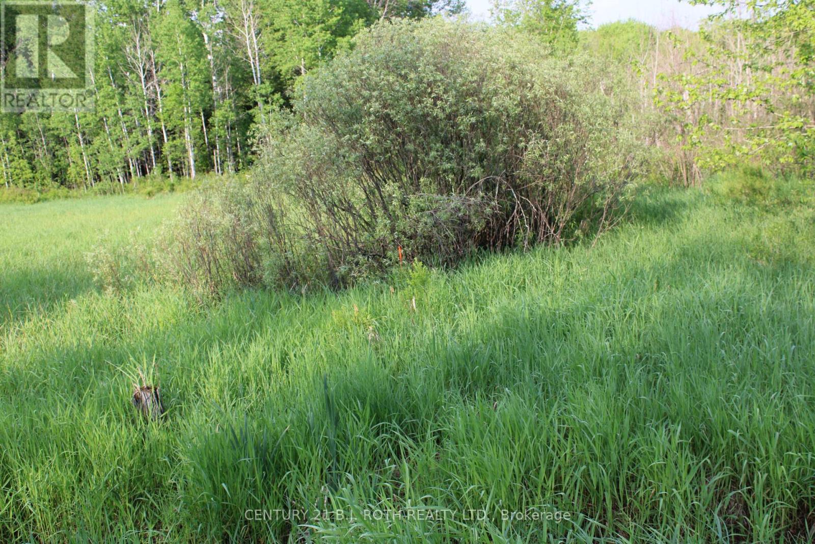 Lot 4 - 1521 Kilworthy Road, Gravenhurst (Morrison), Ontario  P0E 1G0 - Photo 8 - X10404997