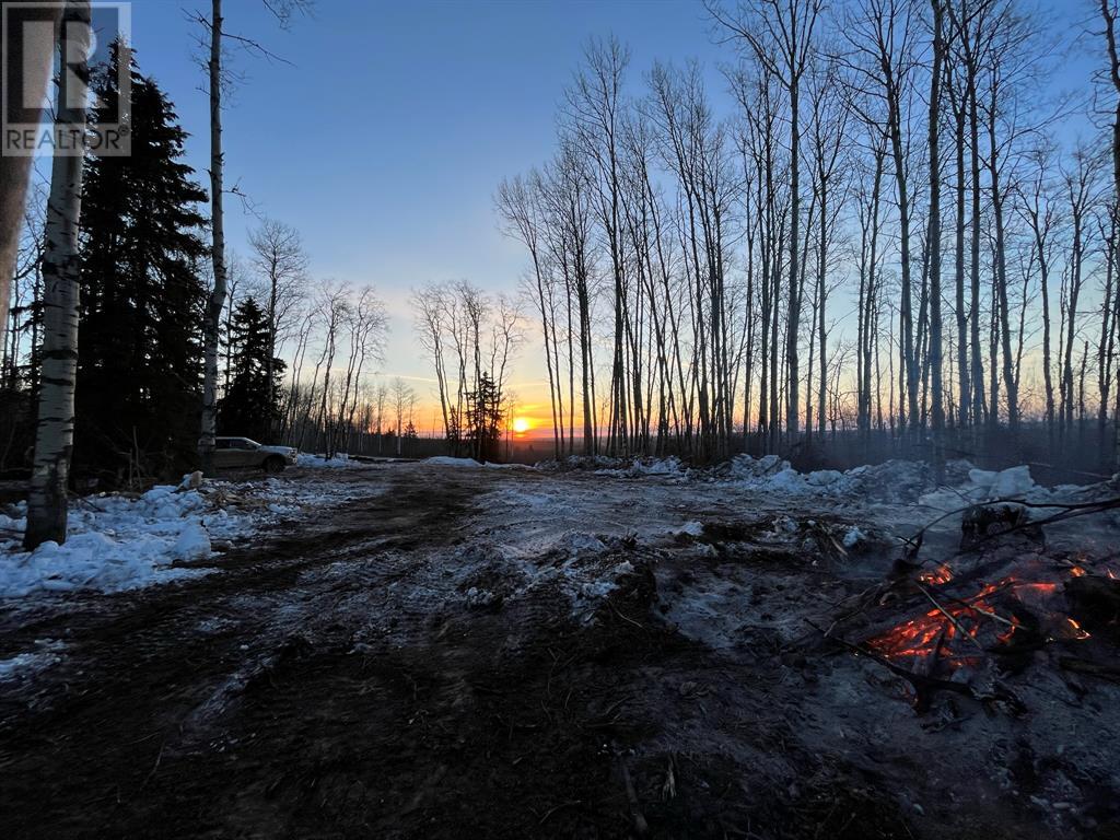 92 Range, Rural Saddle Hills County, Alberta  T0H 0G0 - Photo 20 - A2168747