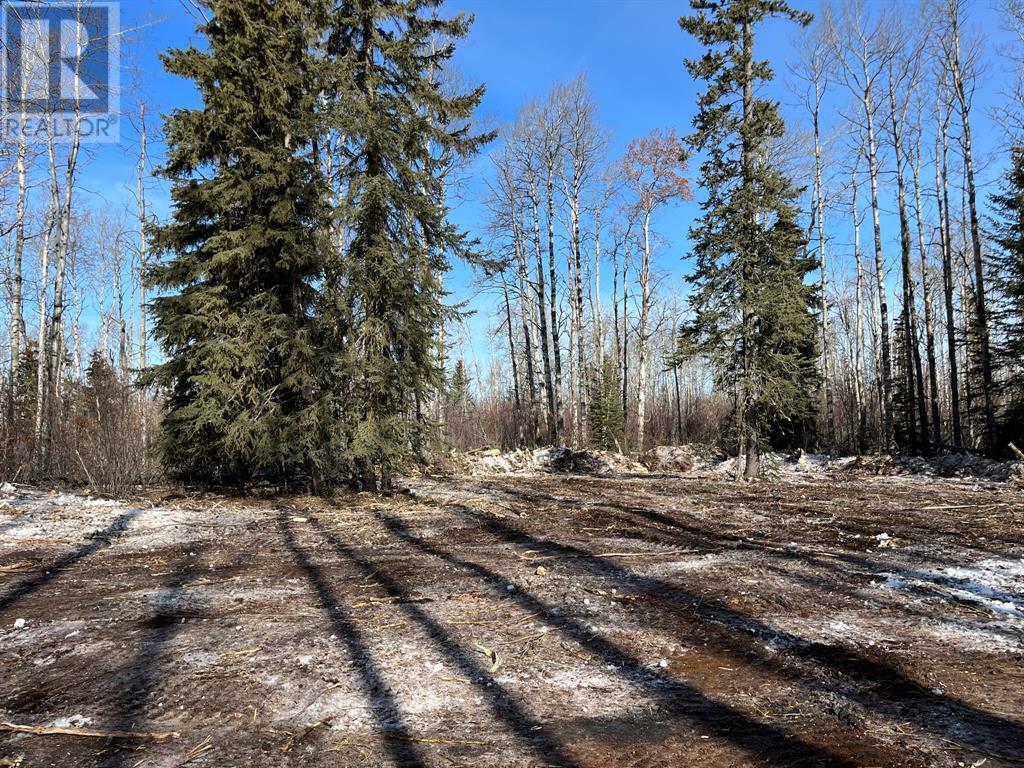 92 Range, Rural Saddle Hills County, Alberta  T0H 0G0 - Photo 30 - A2168747