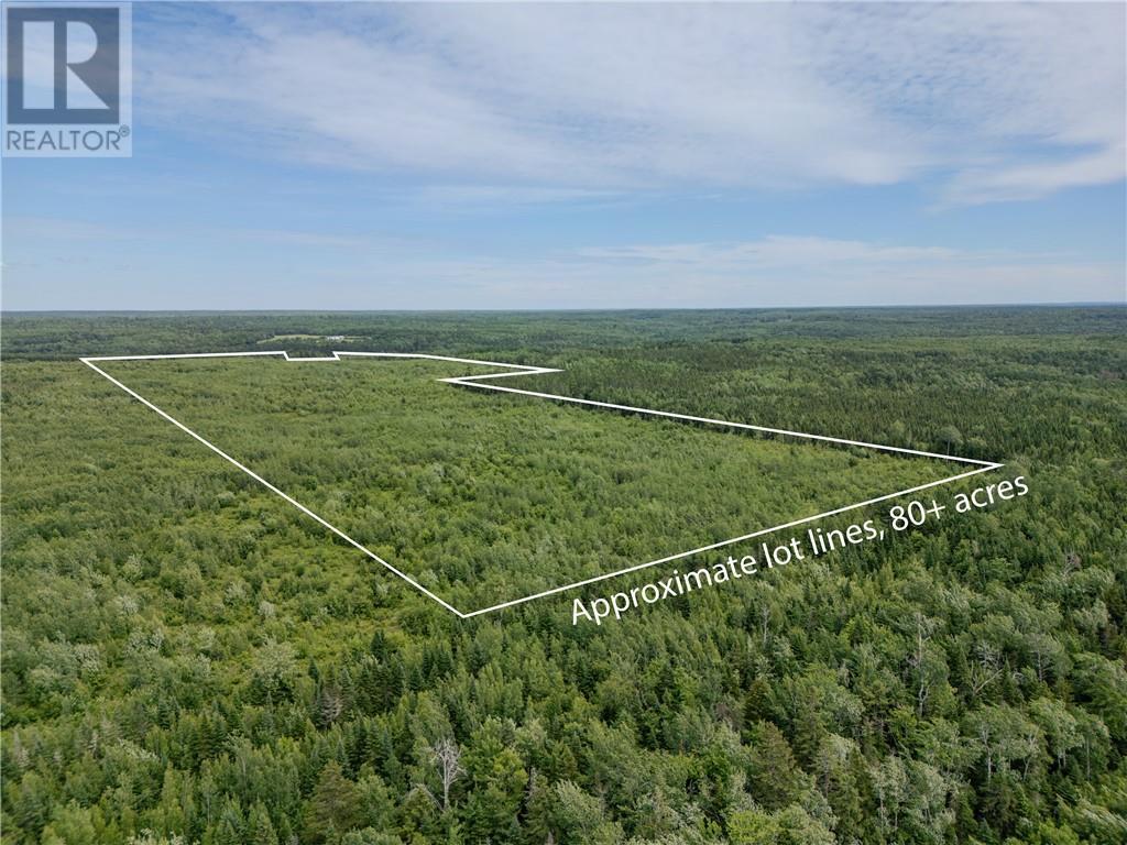 Lot Route 465, Beersville, New Brunswick  E4T 2P6 - Photo 4 - M160454