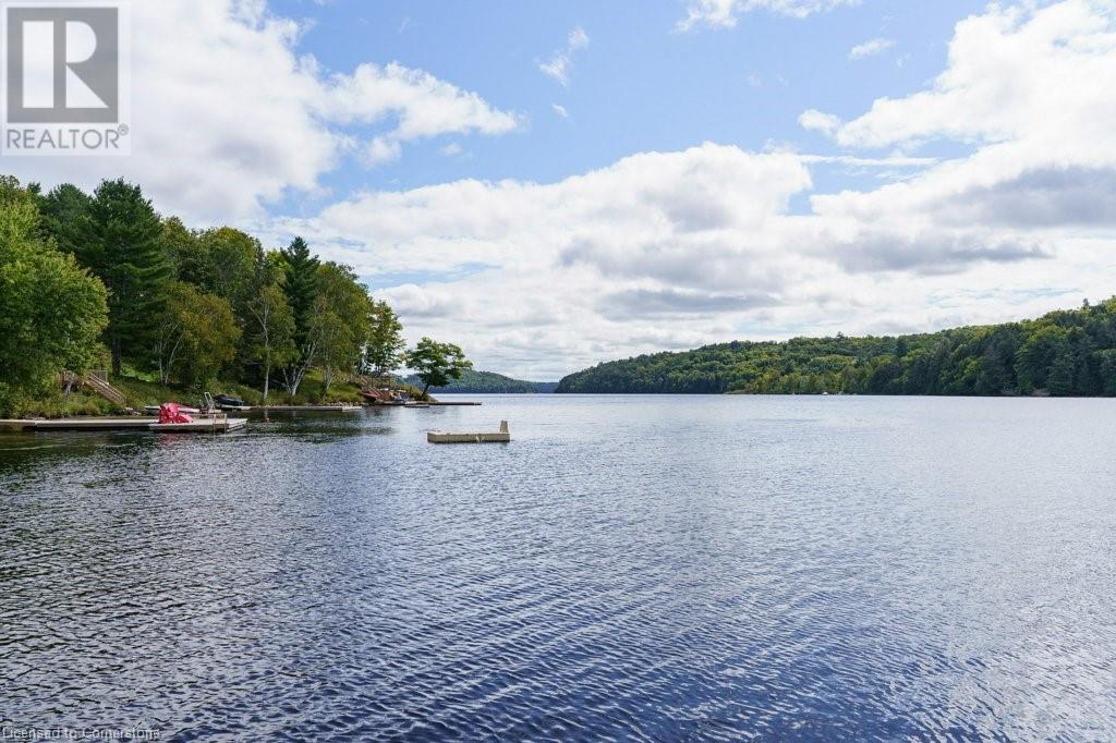 143 South Drive, Huntsville, Ontario  P1H 2J2 - Photo 46 - 40672892