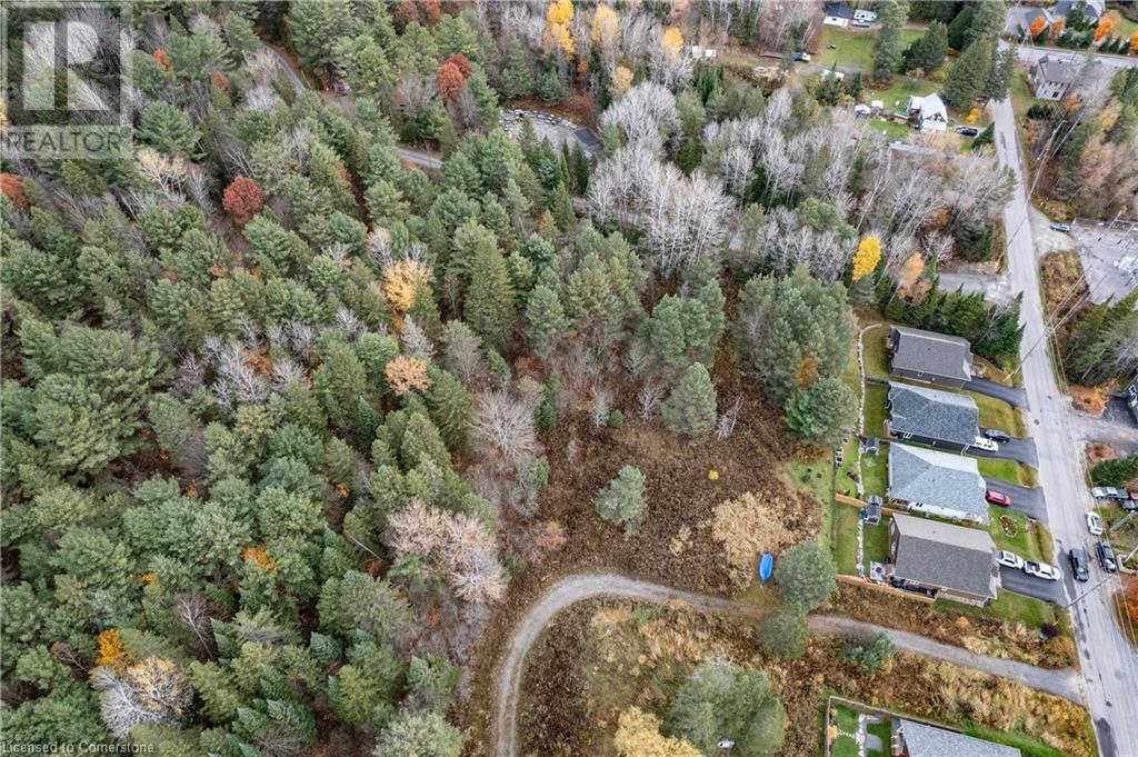 100 Chaffey Township Road, Huntsville, Ontario  P1H 1C8 - Photo 13 - 40669738