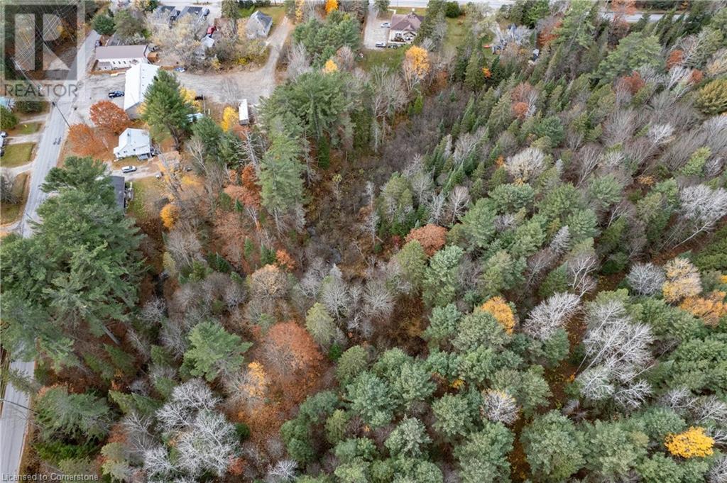 100 Chaffey Township Road, Huntsville, Ontario  P1H 1C8 - Photo 24 - 40669738