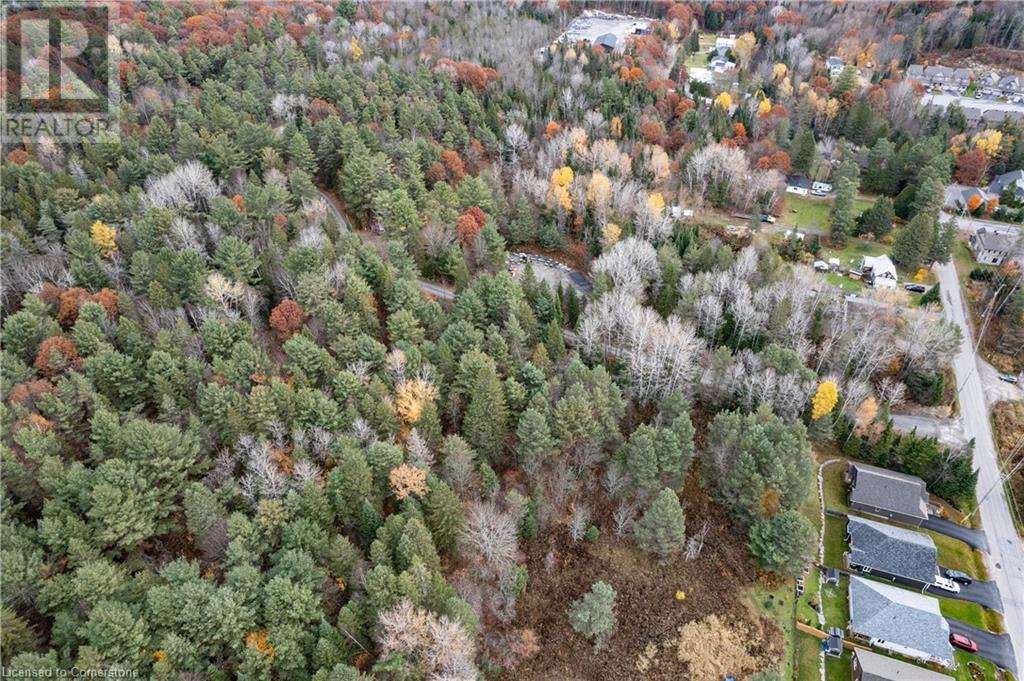 100 Chaffey Township Road, Huntsville, Ontario  P1H 1C8 - Photo 11 - 40669738