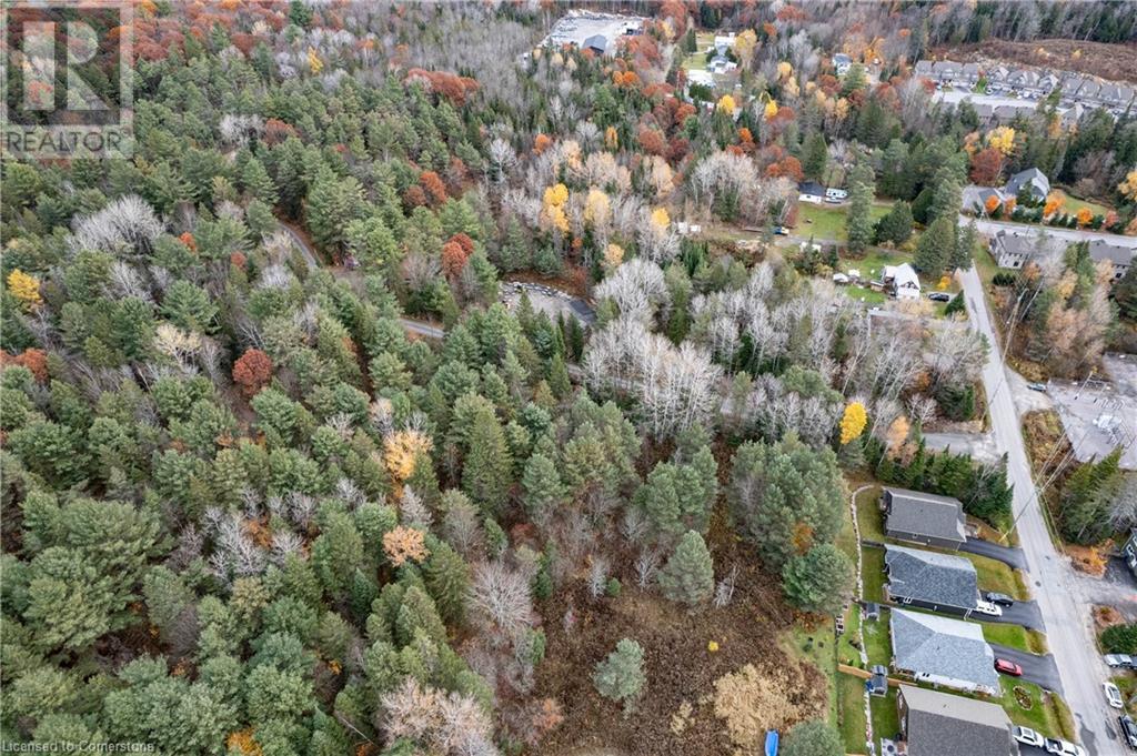 100 Chaffey Township Road, Huntsville, Ontario  P1H 1C8 - Photo 12 - 40669738