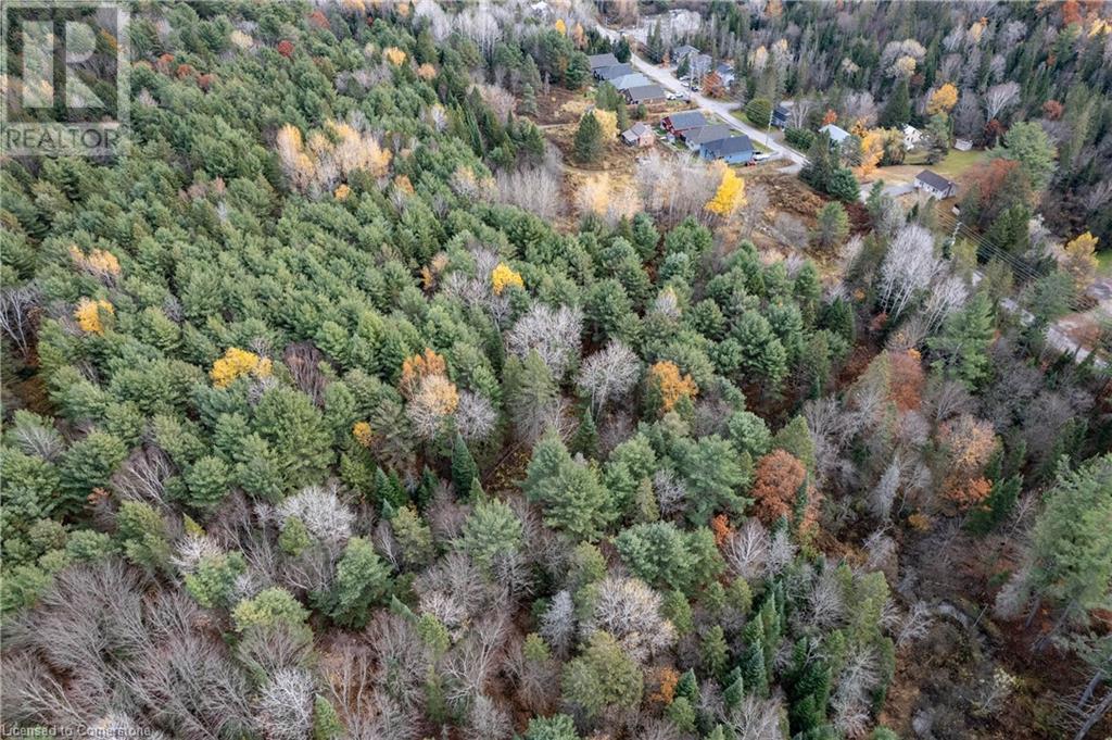 100 Chaffey Township Road, Huntsville, Ontario  P1H 1C8 - Photo 28 - 40669738