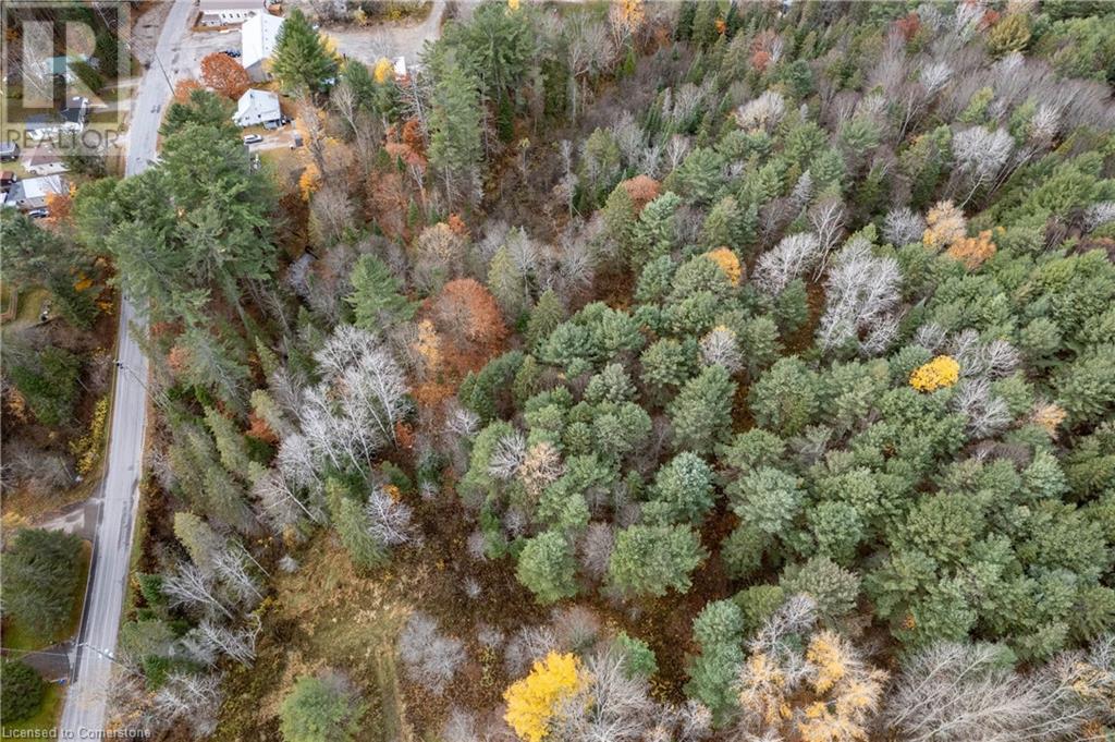 100 Chaffey Township Road, Huntsville, Ontario  P1H 1C8 - Photo 25 - 40669738