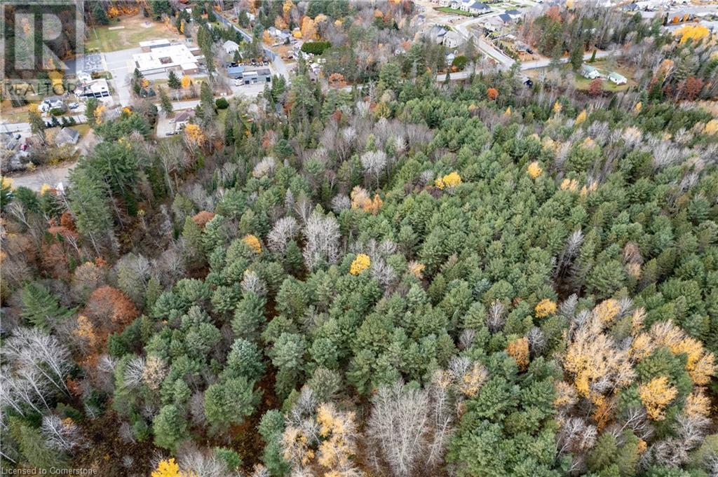 100 Chaffey Township Road, Huntsville, Ontario  P1H 1C8 - Photo 8 - 40669738
