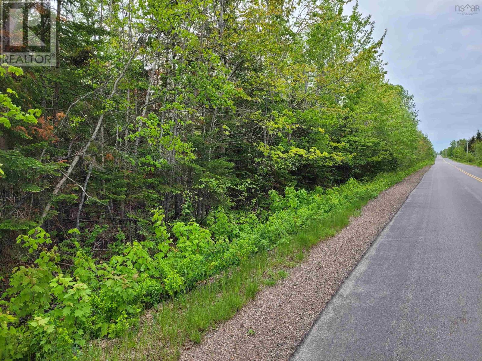 Lot Tattrie Settlement Road, French River, Nova Scotia  B0K 1V0 - Photo 1 - 202425925