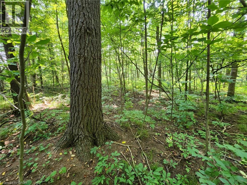 Pt Lt 26 Concession 6 W, Hamilton, Ontario  N1R 5S2 - Photo 7 - 40662419