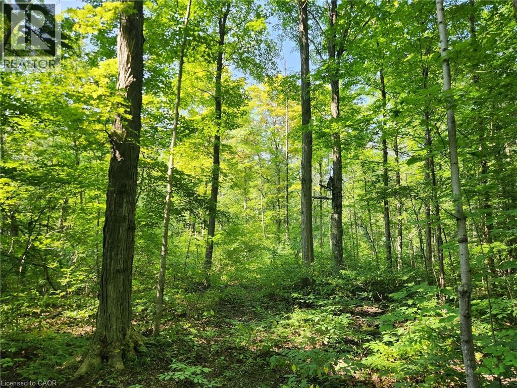 Pt Lt 26 Concession 6 W, Hamilton, Ontario  N1R 5S2 - Photo 5 - 40662419