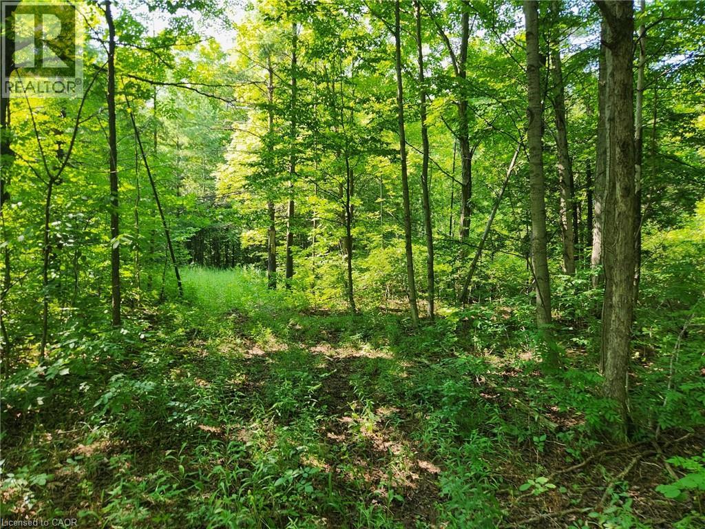 Pt Lt 26 Concession 6 W, Hamilton, Ontario  N1R 5S2 - Photo 3 - 40662419