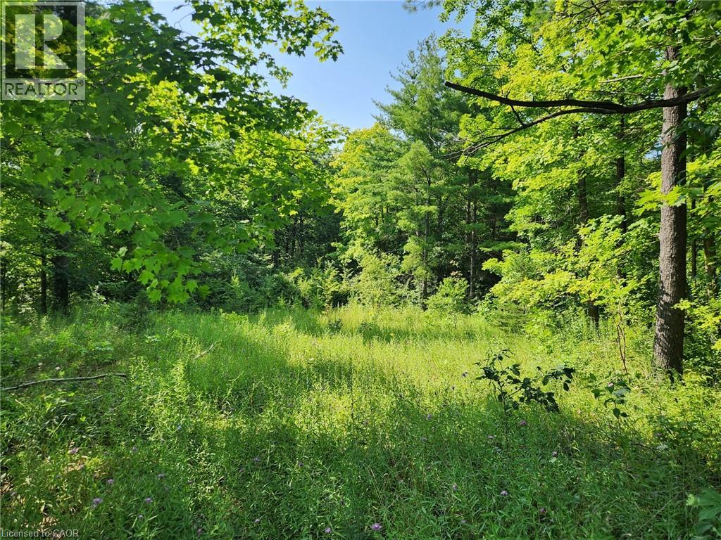 Pt Lt 26 Concession 6 W, Hamilton, Ontario  N1R 5S2 - Photo 2 - 40662419