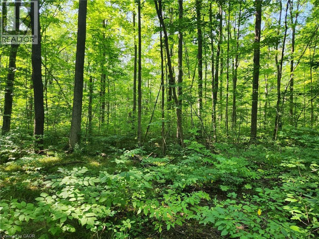 Pt Lt 26 Concession 6 W, Hamilton, Ontario  N1R 5S2 - Photo 4 - 40662419