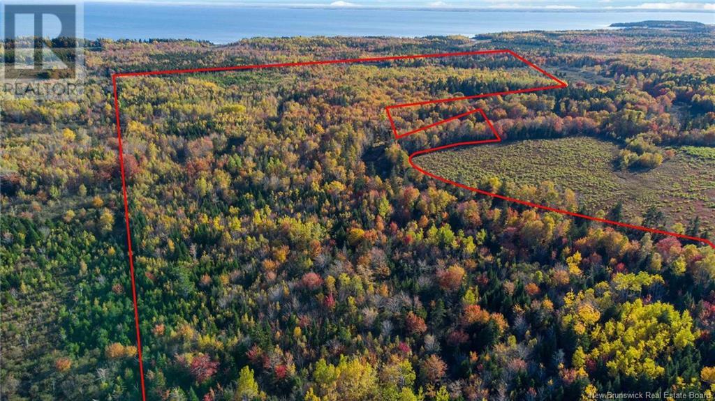 Lot 04 Oulton Road, Cape Spear, New Brunswick  E4M 1R7 - Photo 3 - NB105890