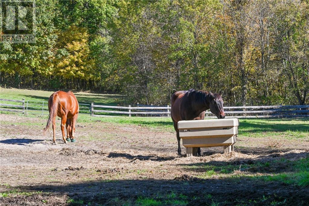 1396 Progreston Road, Carlisle, Ontario  L0R 1H3 - Photo 5 - 40672607