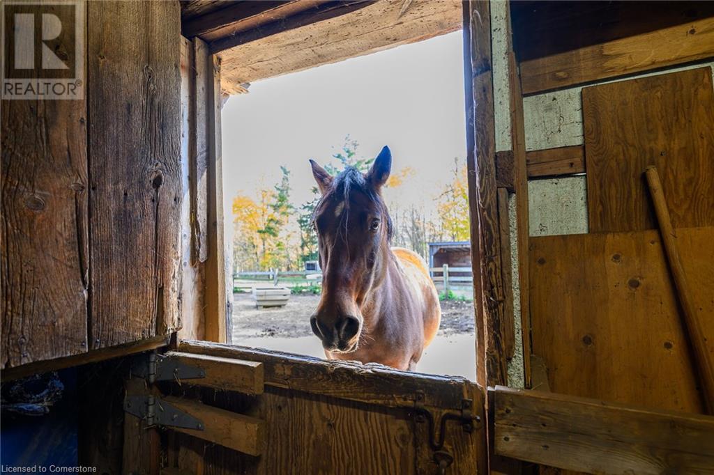 1396 Progreston Road, Carlisle, Ontario  L0R 1H3 - Photo 42 - 40672607