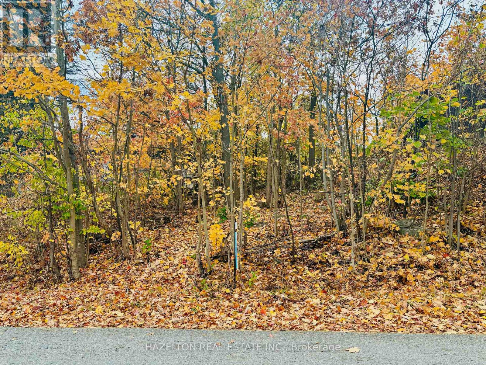Property at 554 BARNES AVENUE image 1