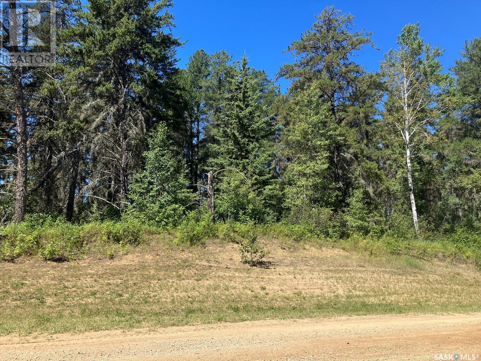 4.49 Acre Lot At Tobin Lake - Lakeview, Tobin Lake, Saskatchewan  S0E 1E0 - Photo 8 - SK979480