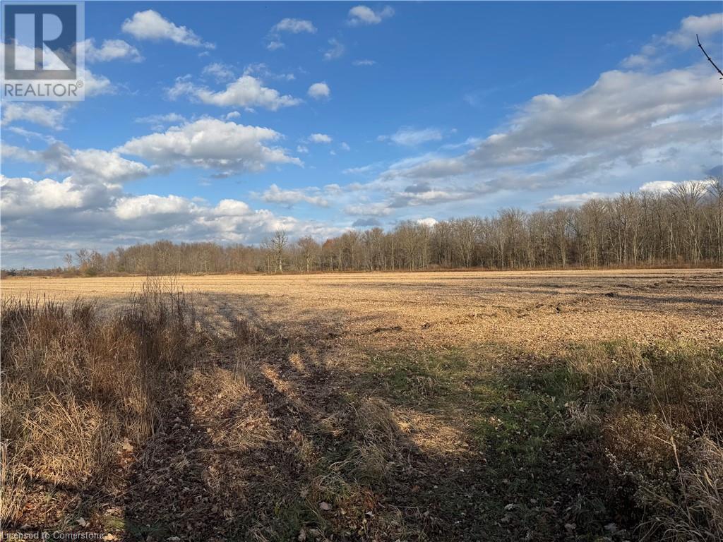 1349 Green Mountain Road, Stoney Creek, Ontario  L8J 3A3 - Photo 4 - 40671195