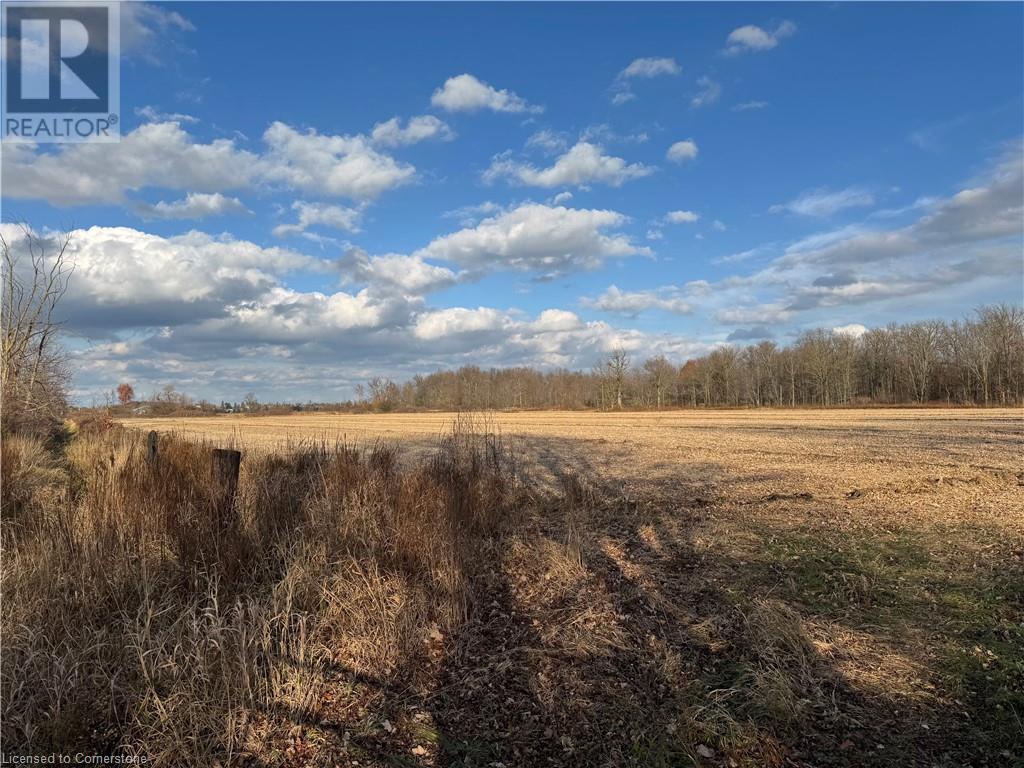 1349 Green Mountain Road, Stoney Creek, Ontario  L8J 3A3 - Photo 3 - 40671195