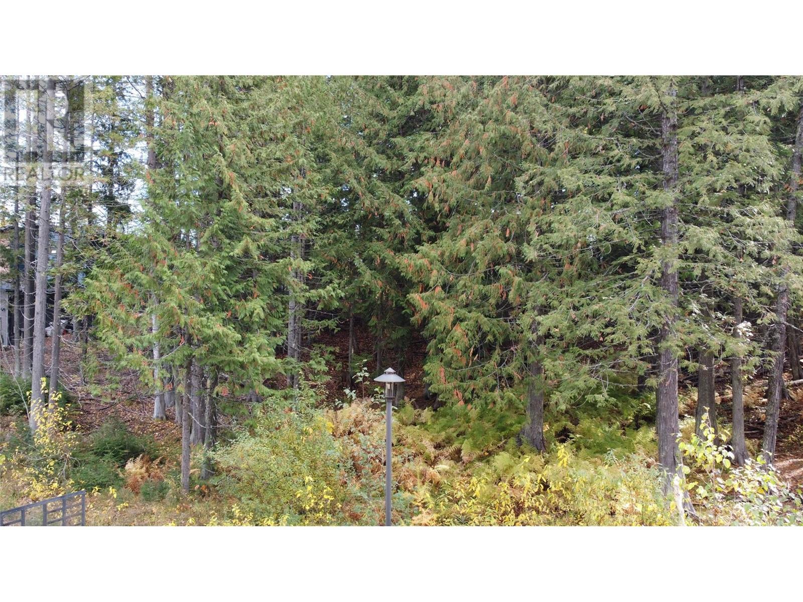 210 Cedar Creek Place Lot# Sl 10, Rossland, British Columbia  V0G 1Y0 - Photo 13 - 10327718