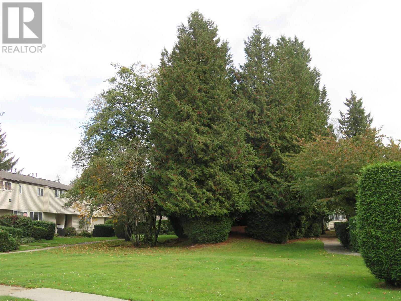 80 3437 E 49th Avenue, Vancouver, British Columbia  V5S 1M1 - Photo 28 - R2941622