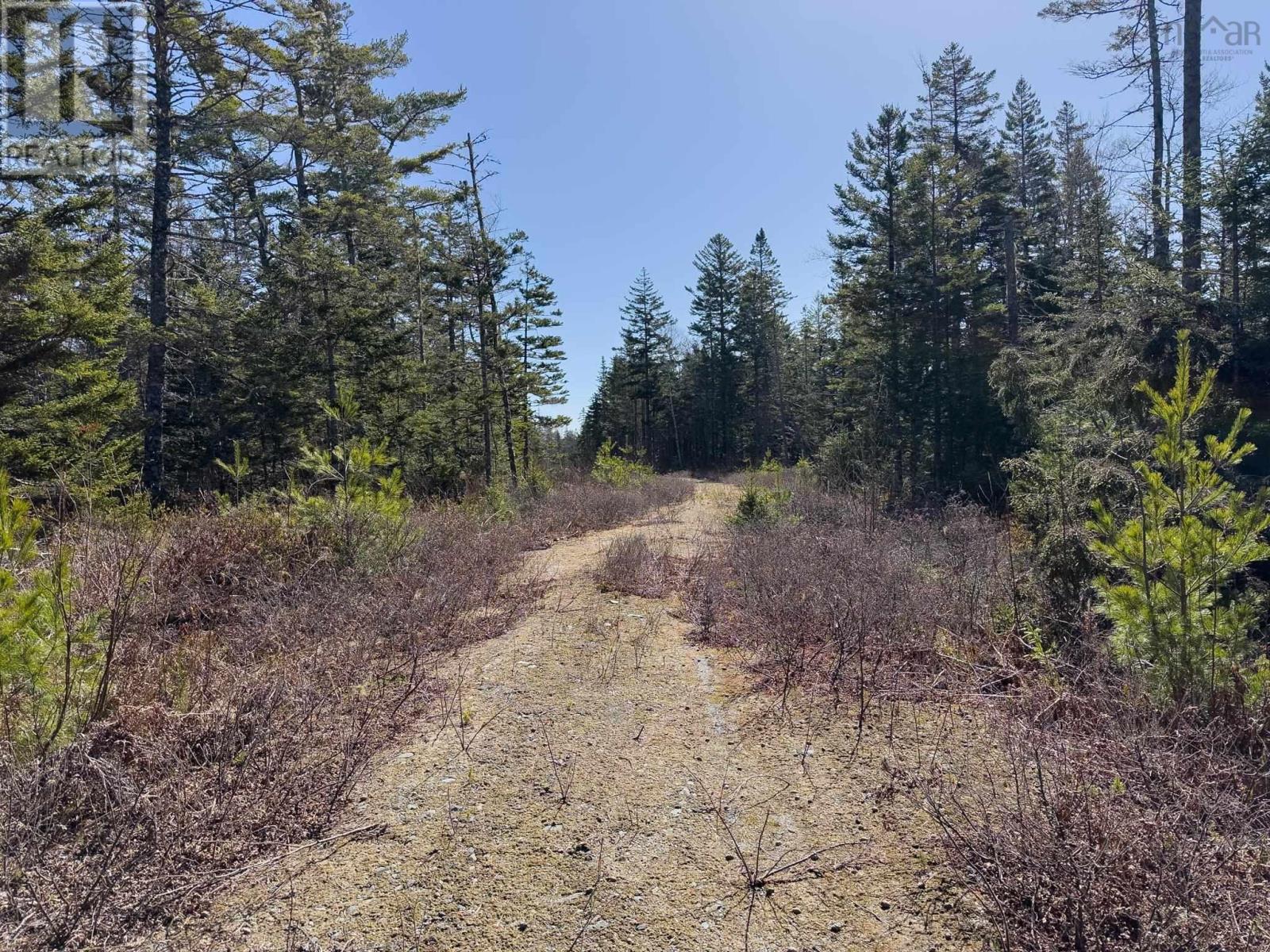 Lot 17 Boutilier Branch Road, Kemptville, Nova Scotia  B5A 5P3 - Photo 6 - 202407882