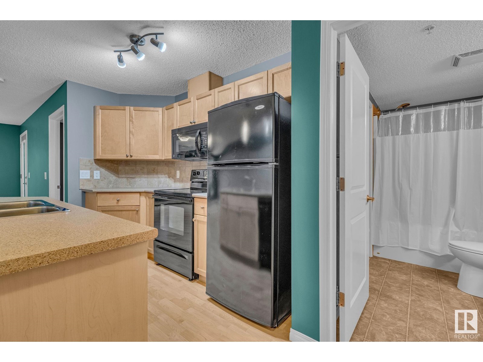 #209 1619 James Mowatt Tr Sw, Edmonton, Alberta  T6W 0J7 - Photo 15 - E4412694