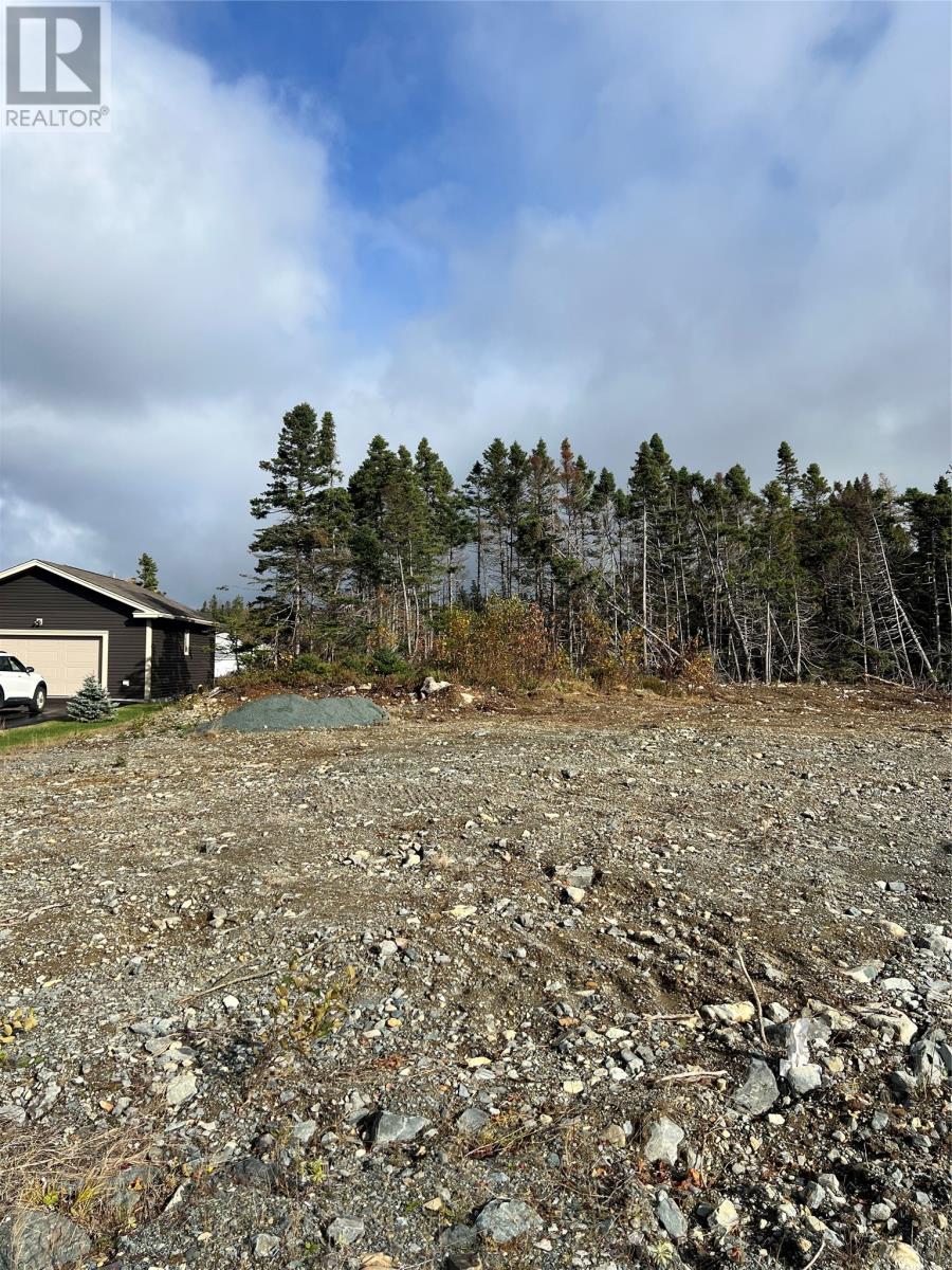 9 Blue Spruce Drive, conception bay south, Newfoundland & Labrador