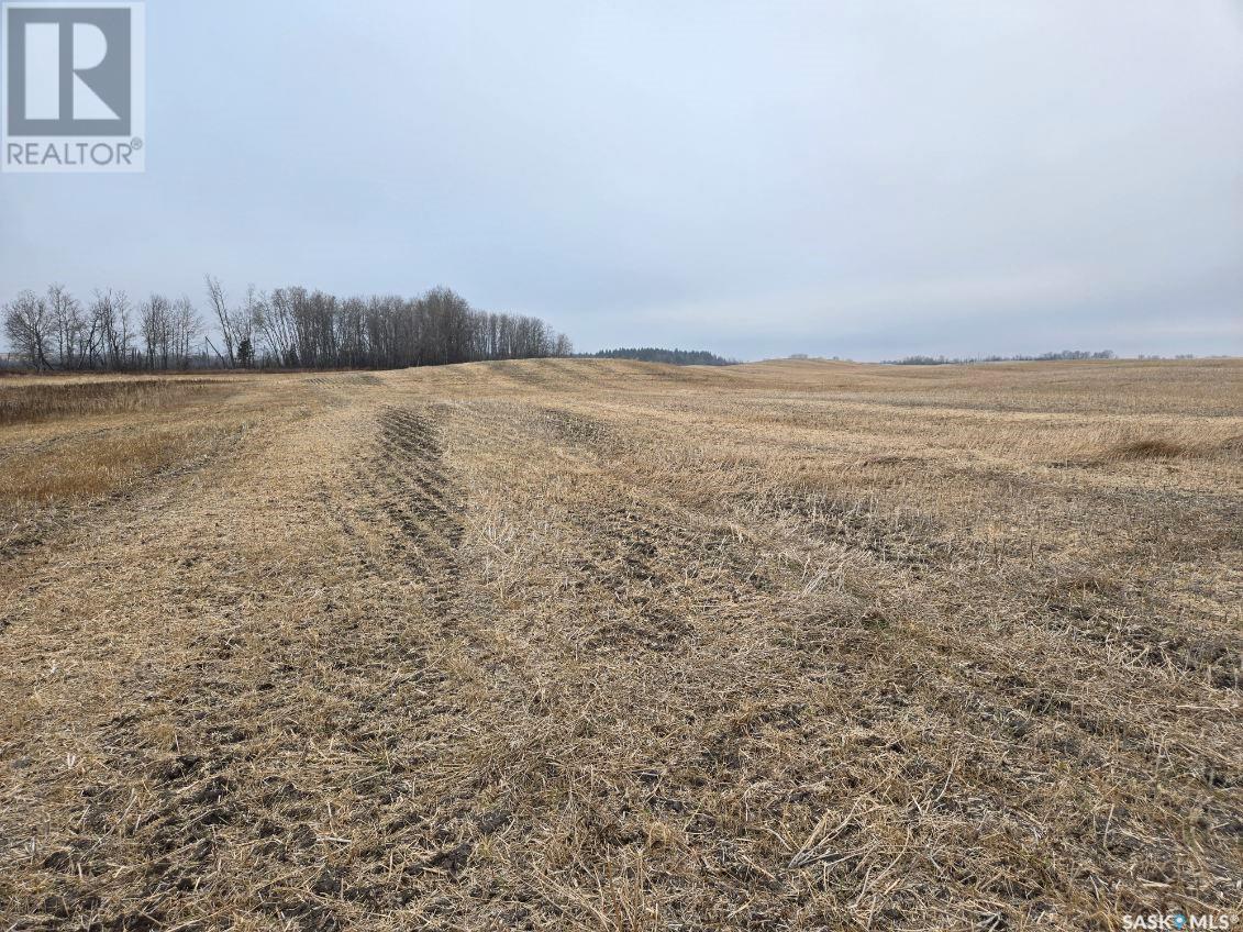 Guenter Land, Canwood Rm No. 494, Saskatchewan  S0J 0K0 - Photo 2 - SK987555