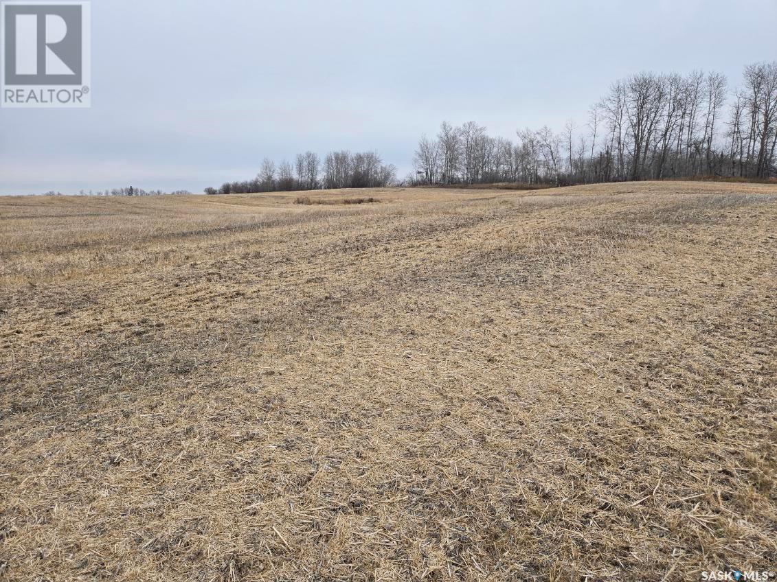 Guenter Land, Canwood Rm No. 494, Saskatchewan  S0J 0K0 - Photo 3 - SK987555